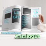 catalogue 10