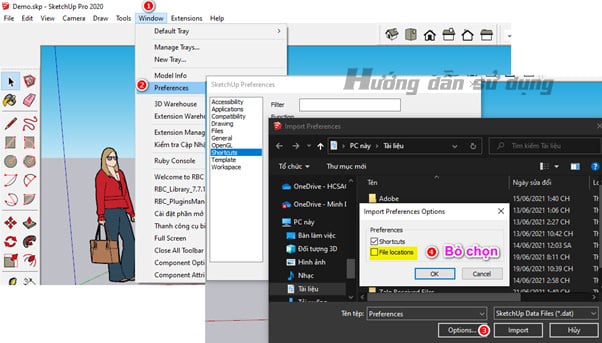 Setting sketchup