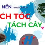 tach nen in photoshop