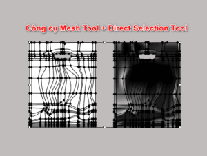 Bước 2: Tạo lưới bằng công cụ mesh tool.