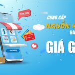 cung cap nguon hang ban online