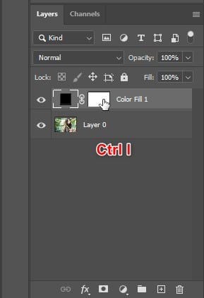 Color correction tool in Photoshop