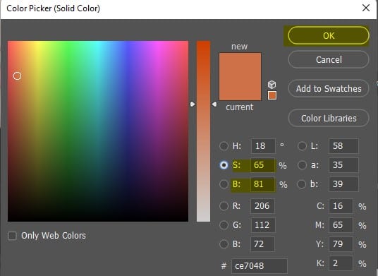 Color correction tool in Photoshop