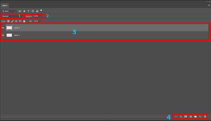 The Layer frame has 4 main parts including: