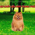 Cách tạo chất liệu ảnh trong photoshop