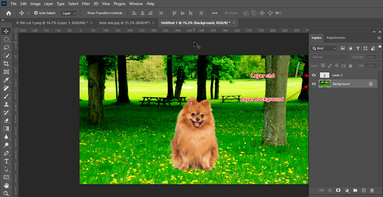 Cách tạo chất liệu ảnh trong photoshop