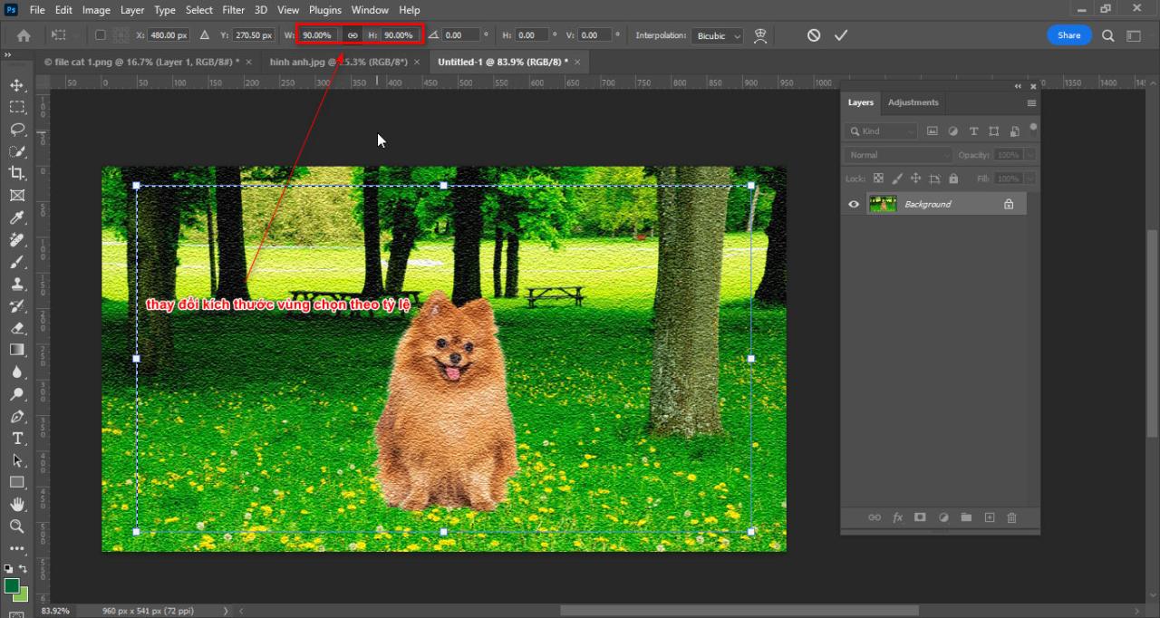 Cách tạo chất liệu ảnh trong photoshop