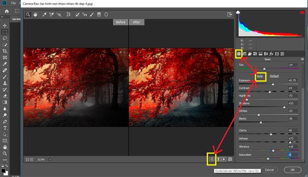 HOW TO camera Raw in Photoshop