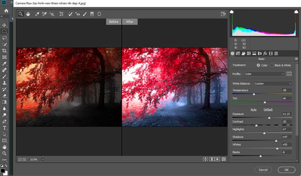 HOW TO camera Raw in Photoshop