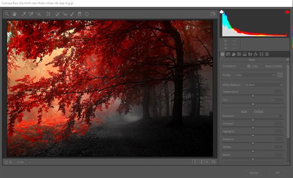 HOW TO camera Raw trong photoshop