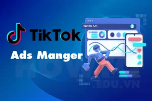 Overview of Tiktok Ads Manager and details on how to use it