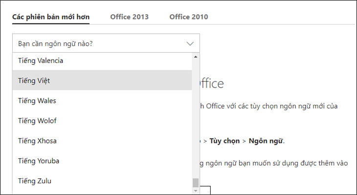 How to install Vietnamese for Microsoft Office 2010, 2016, 2019, 2021, 365